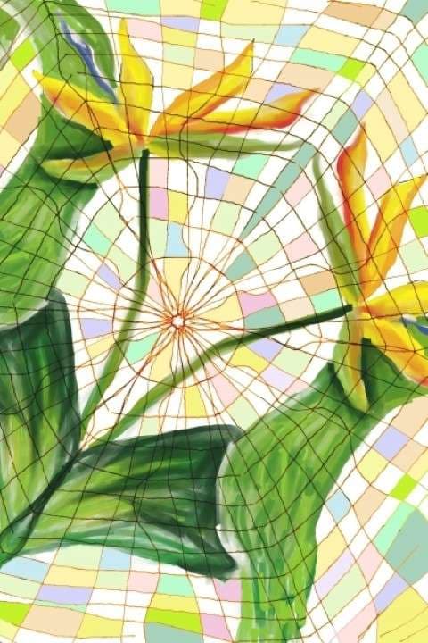 Flores 4