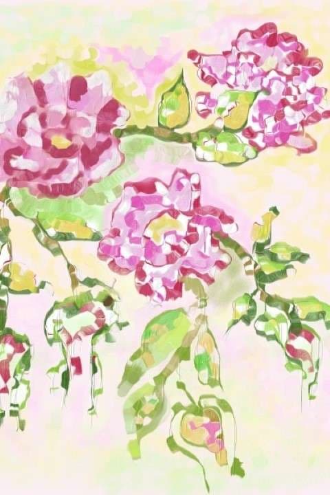 Flores 5