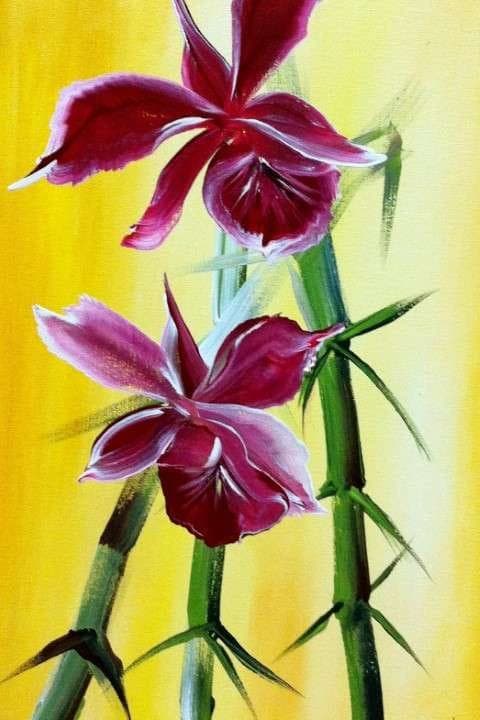 Orquídea 2