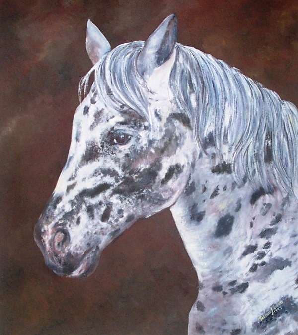 Cavalo