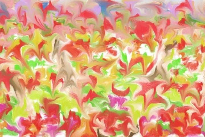 Jardim 1